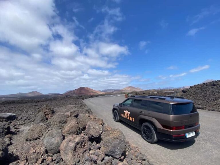 Lanzarote: 4x4 Volcanic & Coastal South Adventure - Final Thoughts: Who Should Consider This Tour?