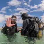 Lanzarote: Beginner Scuba Diving from the Beach - What You Can Expect at Each Step