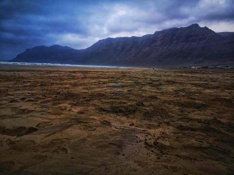 Lanzarote: César Manrique Foundation and Teguise Market - Who Would Love This Tour?