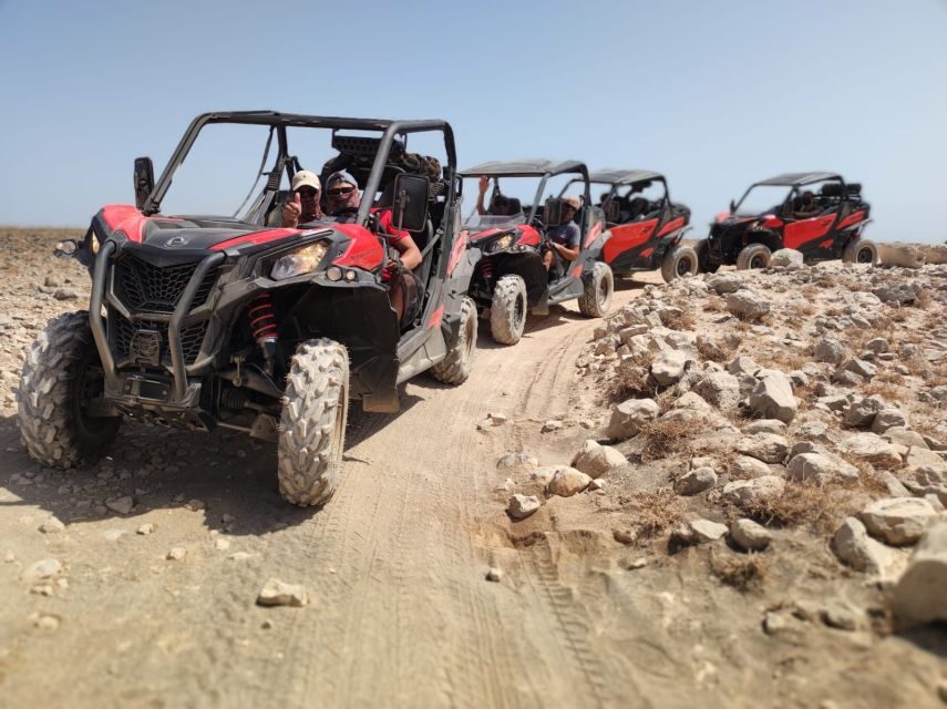 Lanzarote: Guided Can-Am Trail Buggy Tour - The Scenic Highlights