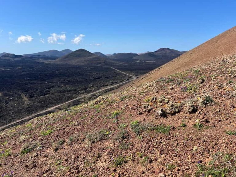 Lanzarote: Guided Hike discover volcano history and culture - Final Thoughts: Who Should Consider This Tour?