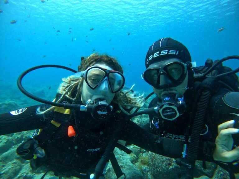 Lanzarote: Intro to Diving Experience for Beginners - The Marine Life and Scenery