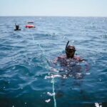 Lanzarote: Intro to Freediving Experience - Who Is This Tour Best For?