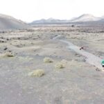 Lanzarote: On-Road Guided Buggy Volcano Tour - What to Expect on the Tour