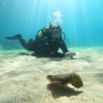 Lanzarote: Scuba Diving for Beginners - 1 Dive - What Makes This Tour Stand Out