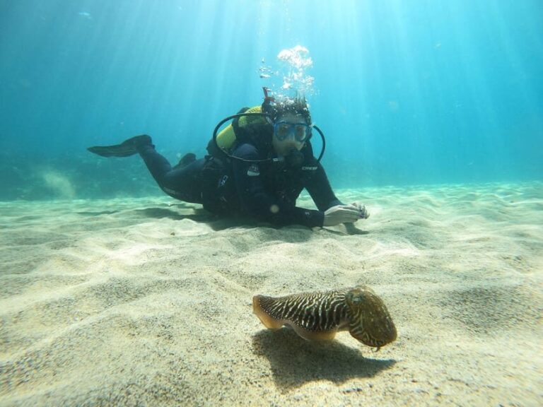 Lanzarote: Scuba Diving for Beginners - 1 Dive - What Makes This Tour Stand Out