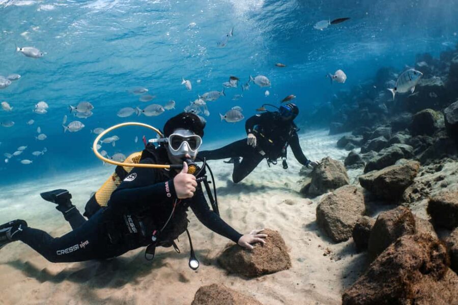 Lanzarote: SSI Scuba Diver Course with 2 Ocean Dives - The Experience in Context