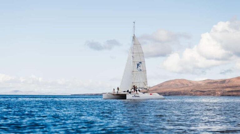 Lanzarote Sunset Experience with dolphin spotting - What to Expect in Practice