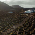 Lanzarote: Sunset vineyard tour with wine and chocolate tasting - Who Will Love This Experience?