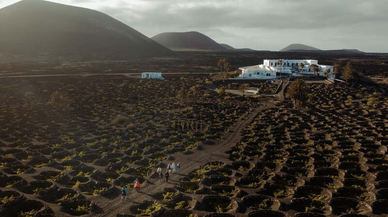 Lanzarote: Sunset vineyard tour with wine and chocolate tasting - Who Will Love This Experience?
