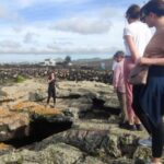 Lanzarote: Timanfaya Natural Park Trekking Tour - Practical Details: What You Need to Know