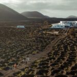 Lanzarote: Vineyard Tour with Wine and Chocolate Tasting - What to Expect From This Vineyard Tour