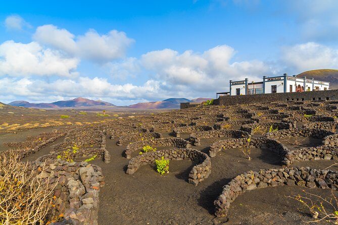 Lanzarote Volcano and Wine Region Tour from Fuerteventura - What the Reviews Reveal