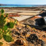 Lanzarote: Volcanos of Timanfaya and Caves Tour with Lunch - Who Should Consider This Tour?