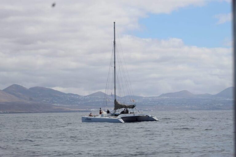 Lanzarote: Whale and Dolphin Watching Eco-Friendly Catamaran - What the Itinerary Looks Like