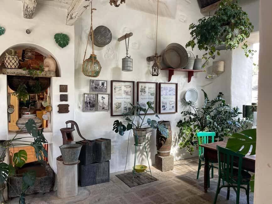 Lanzarote:"The Soul of the wine" Tour: Taste of winemaking - Who Will Love This Tour?