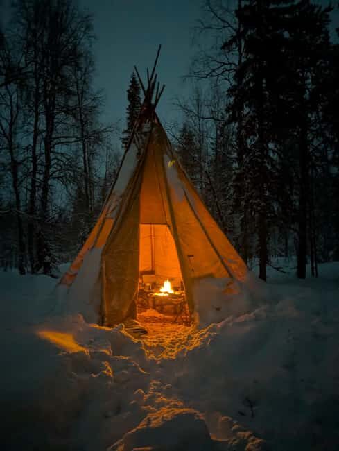 Lapland: A Day at a Traditional Log Cabin & Snowshoe Trek - Snowshoe Trek: Discovering Animal Tracks and Forest Serenity