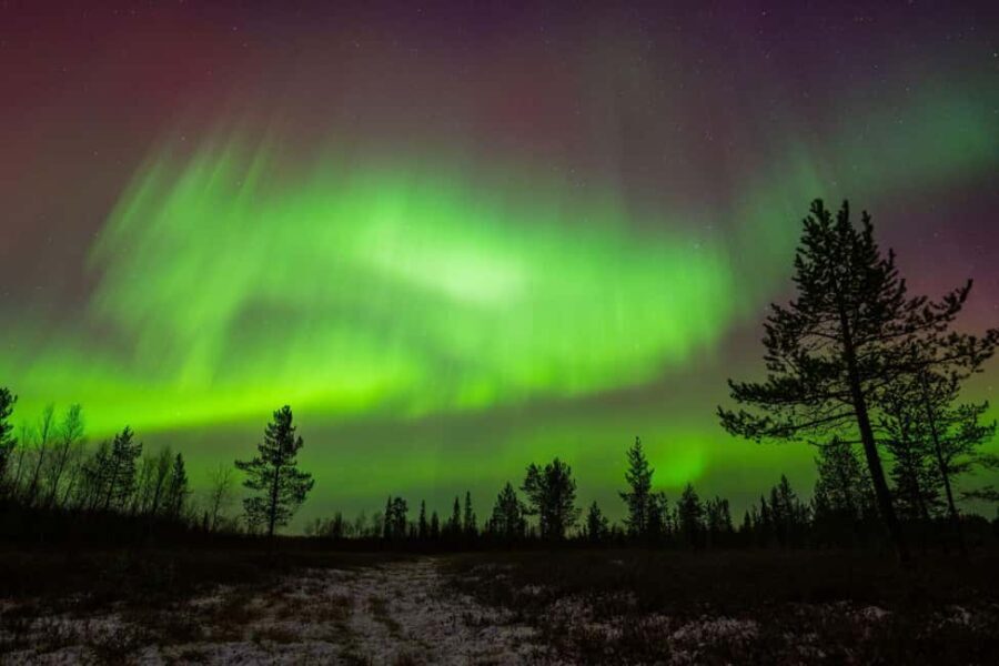 Lapland: Aurora Hunting by Minivan with Guide and Transport - Key Points