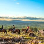 Lapland: Horse Ride to the Hill - The Journey: What to Expect During the Ride