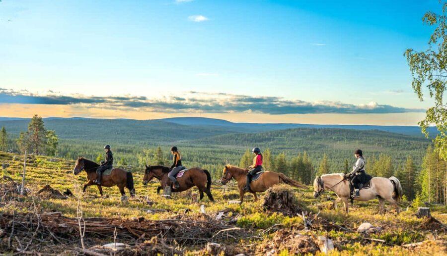 Lapland: Horse Ride to the Hill - The Journey: What to Expect During the Ride