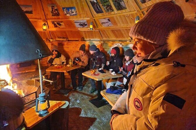 Lapland In A Day - Reindeer, Sledding, Snowmobile & Nature - Is This Tour Worth the Price?