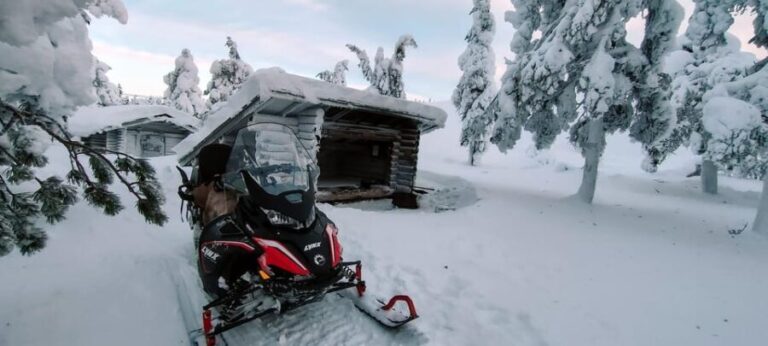 Lapland: Private Snowmobile Safari with arctic Local Guide - The Price & Value