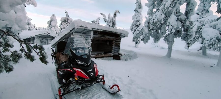 Lapland: Private Snowmobile Safari with arctic Local Guide - The Price & Value