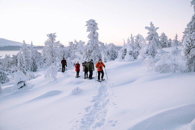 Lapland Winter Experience - The Itinerary in Detail