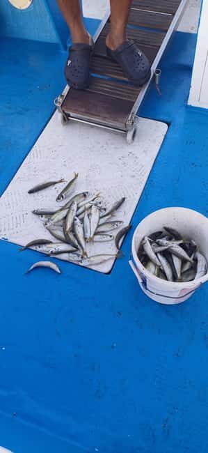 Larnaca: Private Fishing - Traditional Explorer N Vessel - What You Can Expect on the Trip