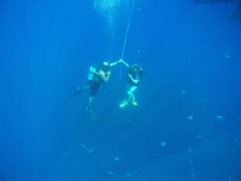 Larnaca: Private Zenobia Beginners Divers - The Itinerary and Experience Breakdown