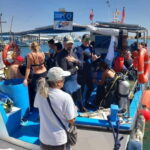 Larnaca: Snorkelling Zenobia Wreck Plus Mini Cruise - Why This Tour Offers Good Value