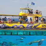 Larnaca: Yellow Submarine Swim Cruise with Unlimited Drinks - The Itinerary in Detail