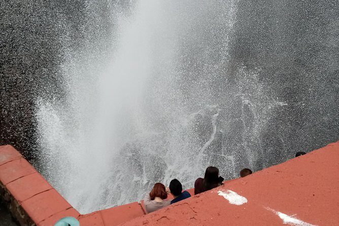 Las Canadas Ecopark and Bufadora private tour - Who Should Consider This Tour?