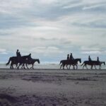 Las cañadas ecopark and horseback riding private tour - Who Should Consider This Tour?