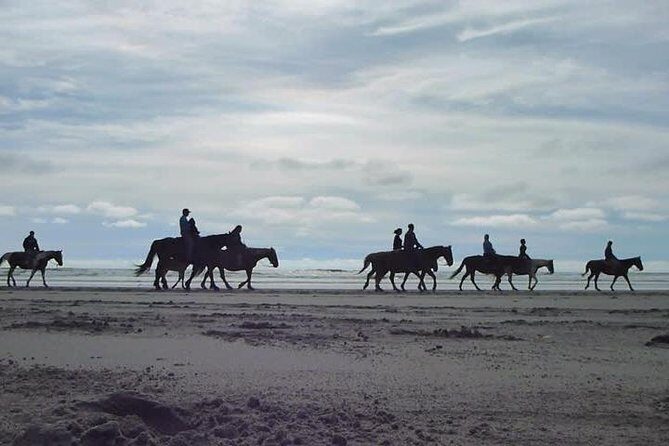 Las cañadas ecopark and horseback riding private tour - Who Should Consider This Tour?