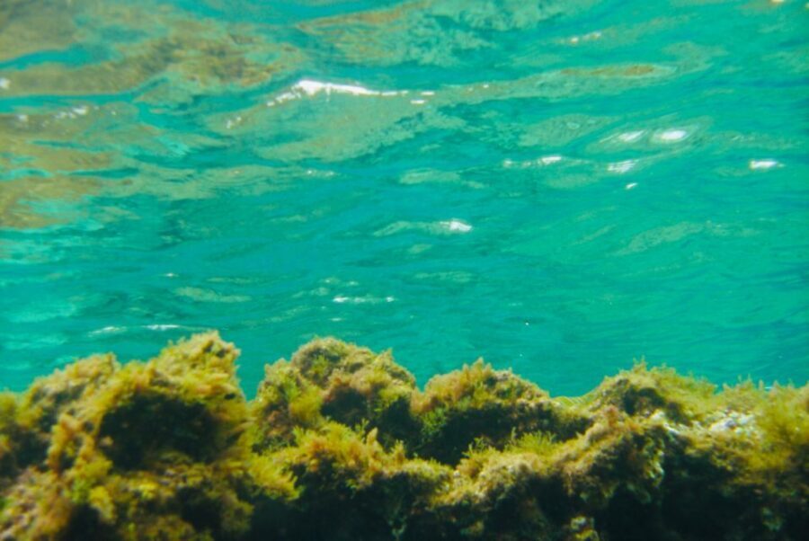 Las Canteras Scuba Diving - Whats Included and What to Bring