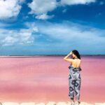 Las Coloradas & Rio Lagartos Tour from Cancún - Analyzing the Cost and Value