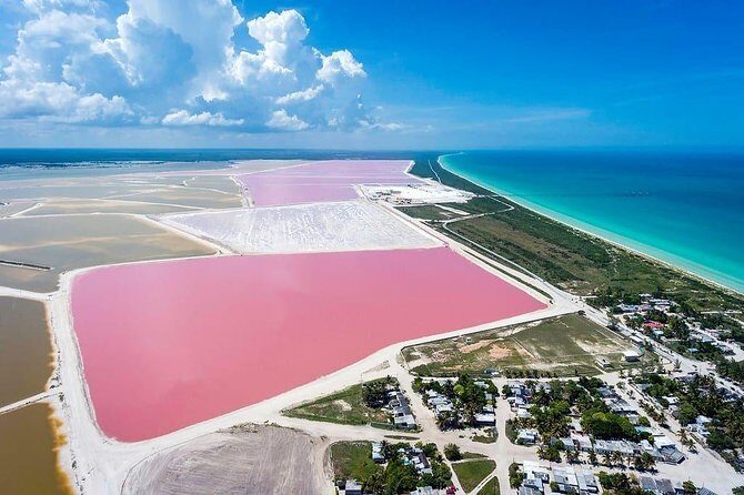 Las Coloradas Tour! Boat Ride, Lunch & Rio Lagartos from Cancun - The Itinerary in Detail