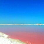Las Coloradas Tour from Cancun and Playa del Carmen - FAQ