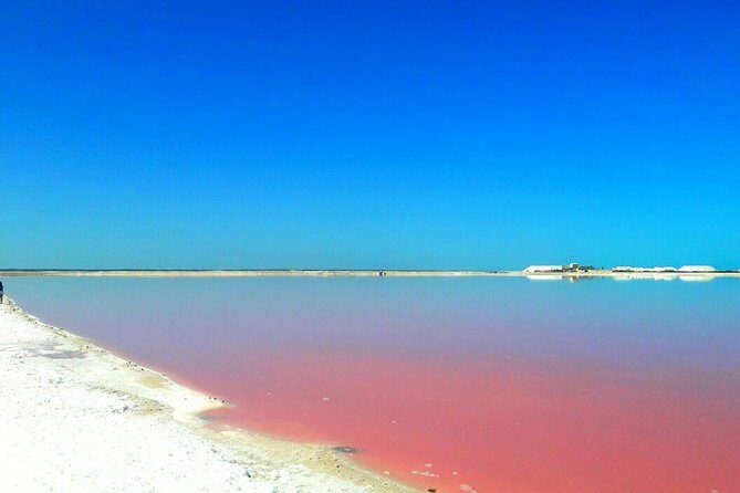 Las Coloradas Tour from Cancun and Playa del Carmen - FAQ