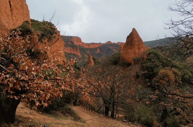 Las Médulas: Guided Walking Tour - What You Can Expect on This Tour