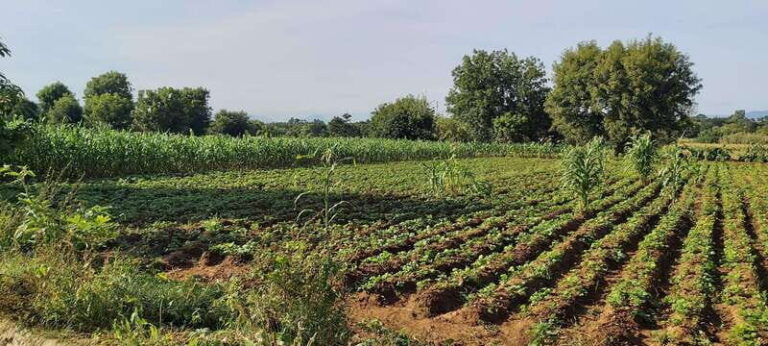 Las Nieves Monte Albán, Arrazola, Cuilapam 6h Bike Tour - What’s Included and What’s Not