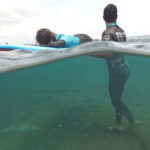 Las Palmas de Gran Canaria: Group surf lesson on La Laja beach - An Honest Look at the Surf Lesson Experience