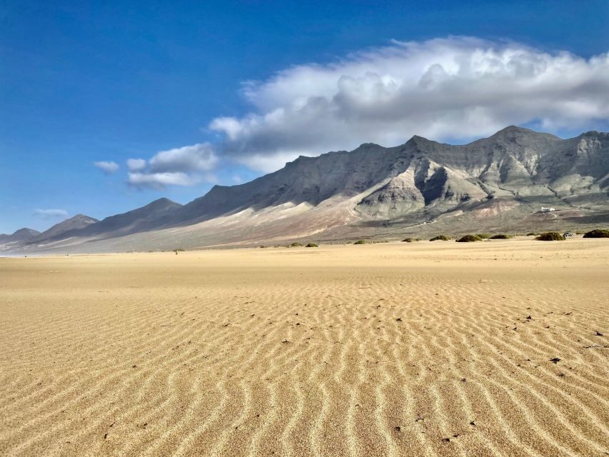 Las Palmas: Fuerteventura Cofete Beach and Desert Safari - How This Tour Adds Value
