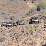 Las Palmas: Gran Canaria Guided Buggy Tour - A Closer Look at the Gran Canaria Buggy Tour Experience