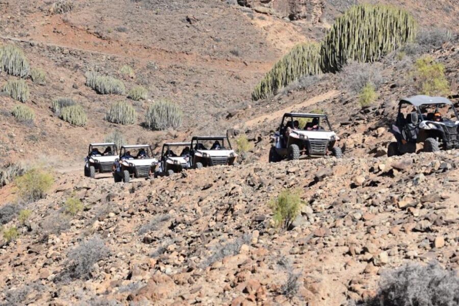 Las Palmas: Gran Canaria Guided Buggy Tour - A Closer Look at the Gran Canaria Buggy Tour Experience