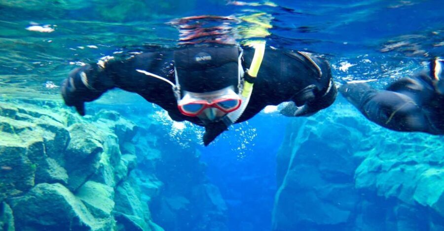 Las Palmas: Las Canteras Beach Snorkeling Trip - Is It Worth the Price?