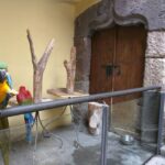 Las Palmas: Private Old City Guided Walking Tour with Tapas - What Makes It Special?