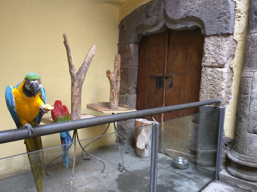 Las Palmas: Private Old City Guided Walking Tour with Tapas - What Makes It Special?