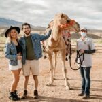 Las Vegas Safari Tram Ride and Zoo Tour at Camel Safari - What Travelers Are Saying